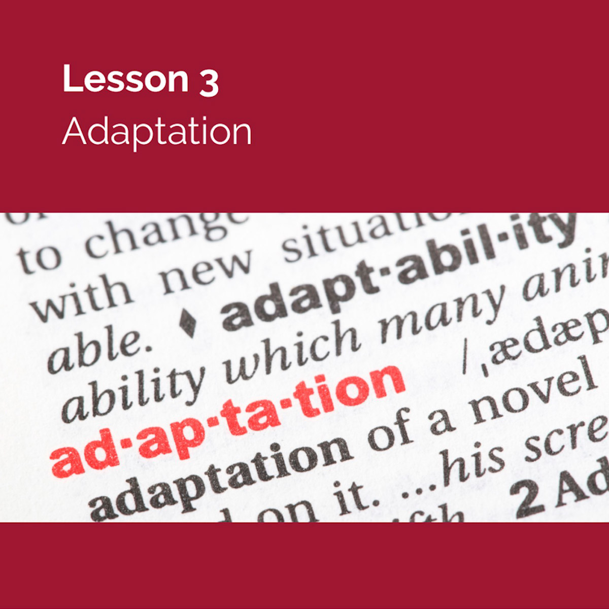 Lesson 3: Adaptation